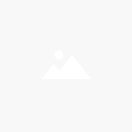 マリーローズ(ハートクッキー)ウエルカムオブジェ60個セット