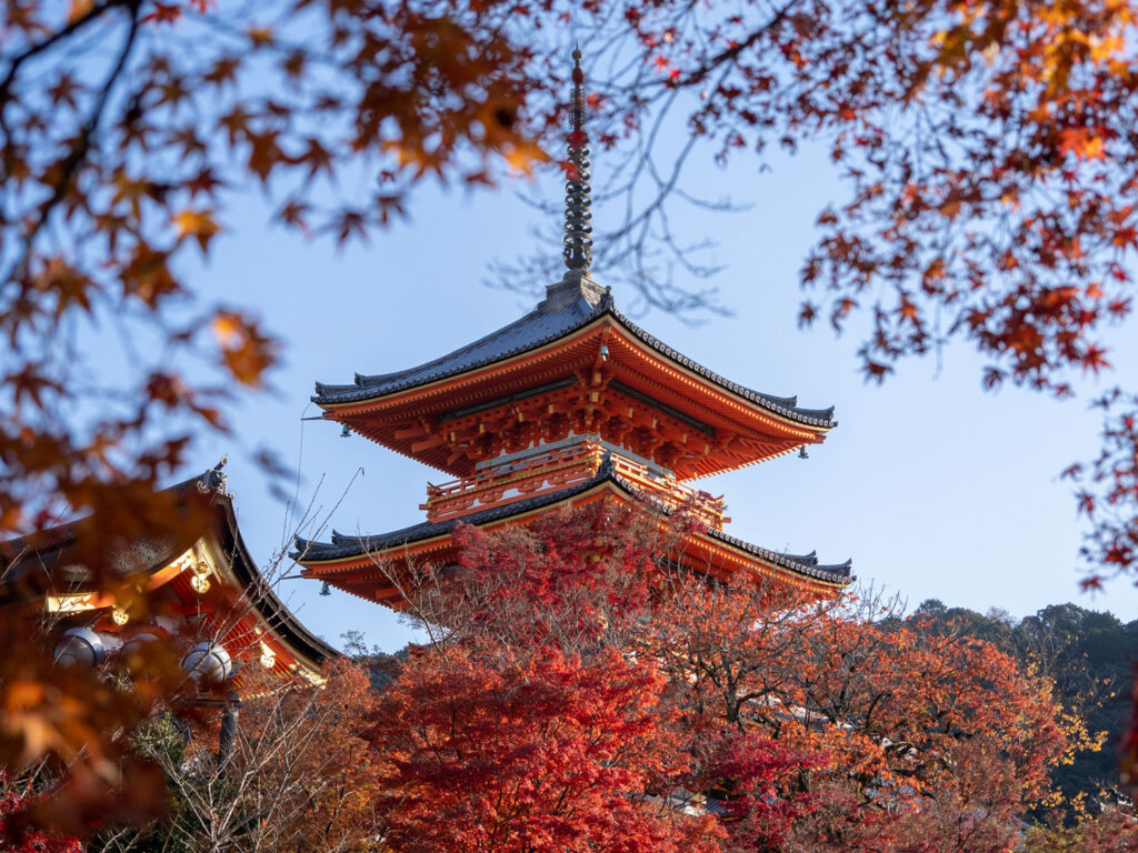 清水寺の紅葉