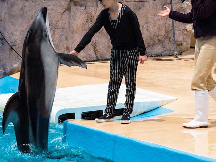 下田海中水族館